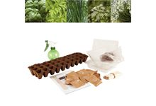 Carton de 30 sachets de graines aromates bio