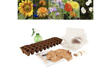Carton de 30 sachets de graines de fleurs