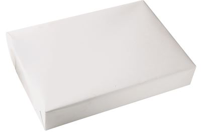 Ramette de 500 feuilles de format A4 80g blanc EXCELLENCE PREMIUM