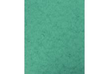 Protège-cahier 2 grands rabats  format 18 x 22 cm carte lustrée coloris vert