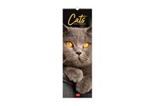 Calendrier 2024 Chats - 16x49 cm