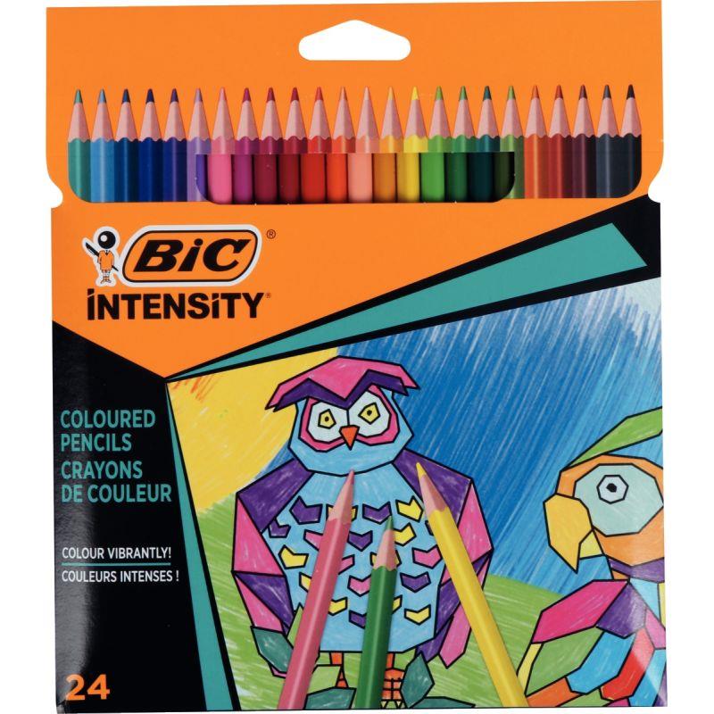 Image de  Pochette de 24 crayons de couleur Color Up 