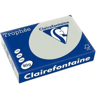 Image de  Ramette de 500 feuilles format A4 80g gris acier CLAIREFONTAINE 