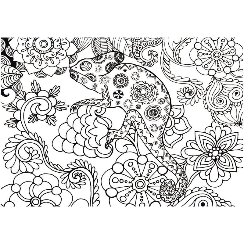 Image de  L.ot de 5 coloriage géant caméléon 