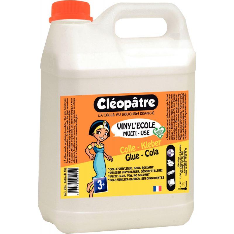 Image de  Flacon de colle 5L vinylique blanc 