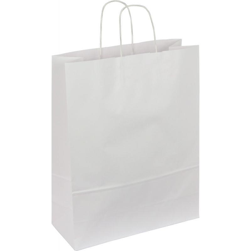 Image de  Paquet de 50 sacs kraft blanc 35+14x44cm poignées torsadées 