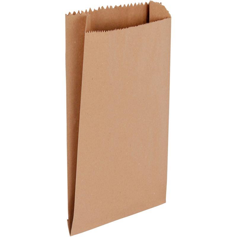 Image de  Paquet de 100 sacs kraft brun 24+6x42cm sans poignée 