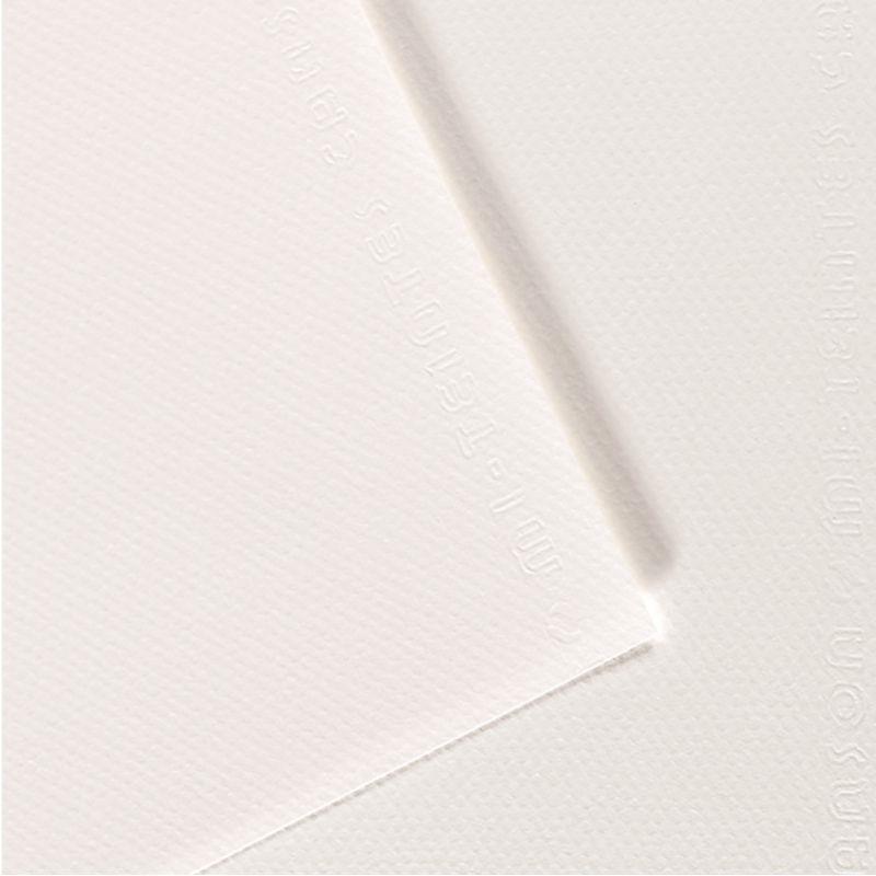 Image de  Paquet de 10 feuilles mi-teinte format 50x65cm  blanc 