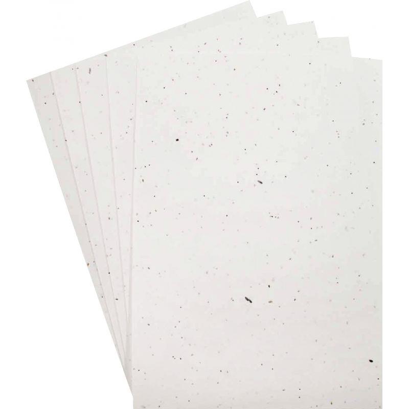 Image de  Paquet de 5 feuilles ensemencées format A4 