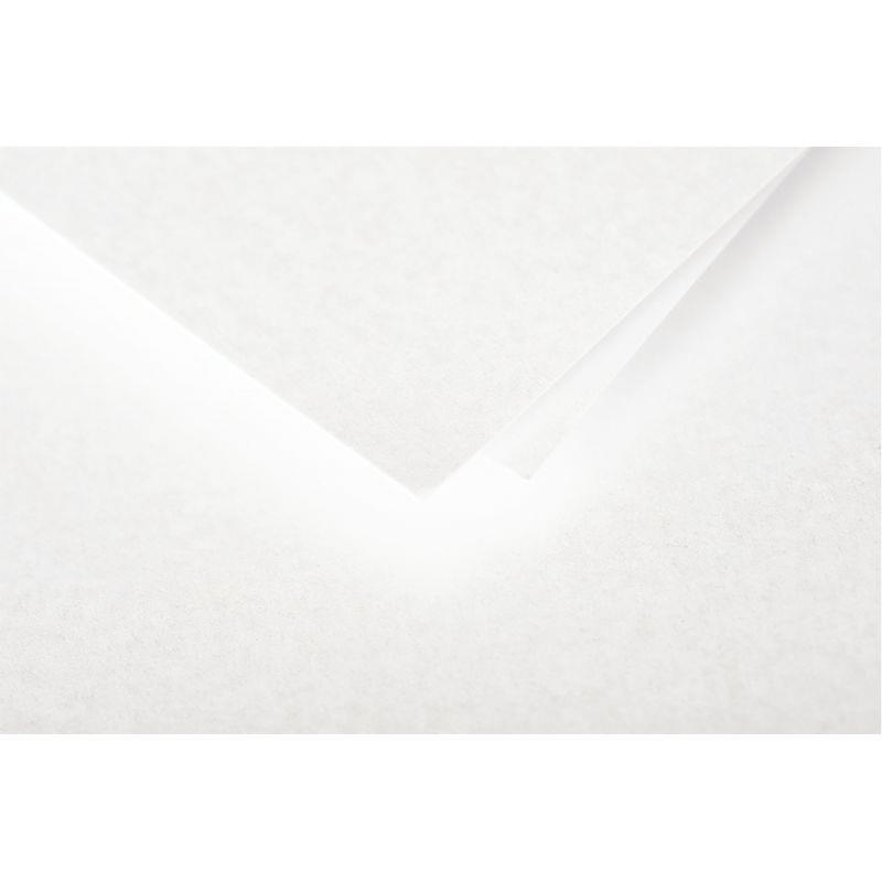 Image de  Paquet de 20 enveloppes Pollen 165x165mm 120g blanc irisé 