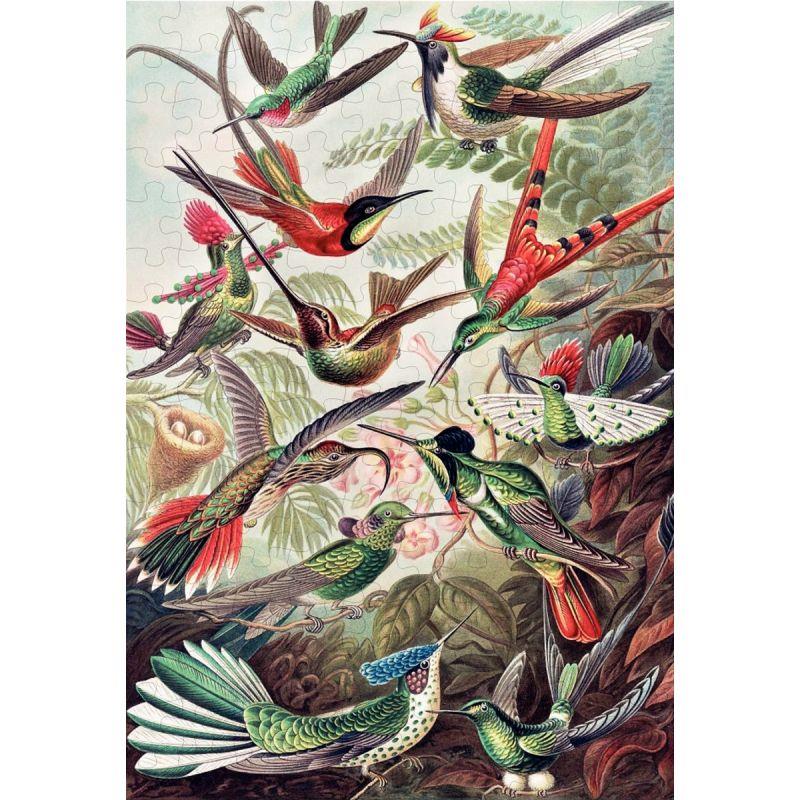 Image de  Puzzle 1000 pièces, les colibris d''HAECKEL 