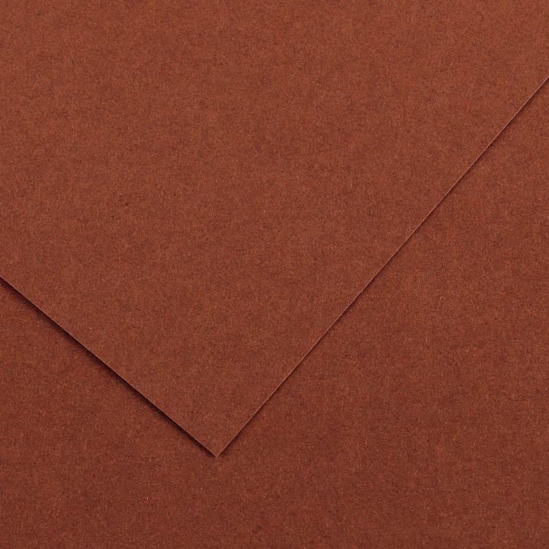 Image de  Paquet de 10 feuilles Colorline 50x65 cm 150 g chocolat 
