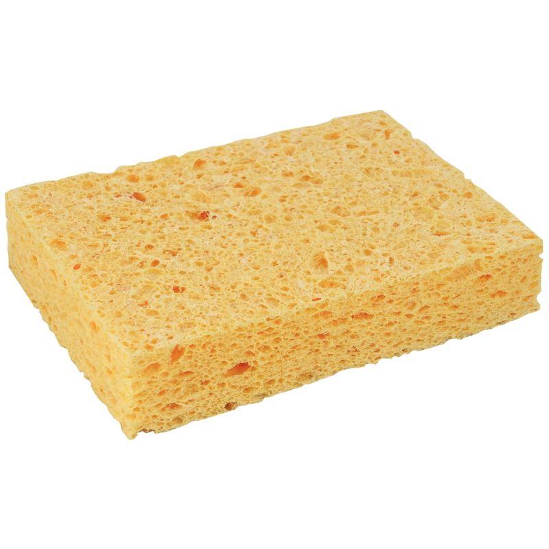 Image de  Eponge végétale n°4 