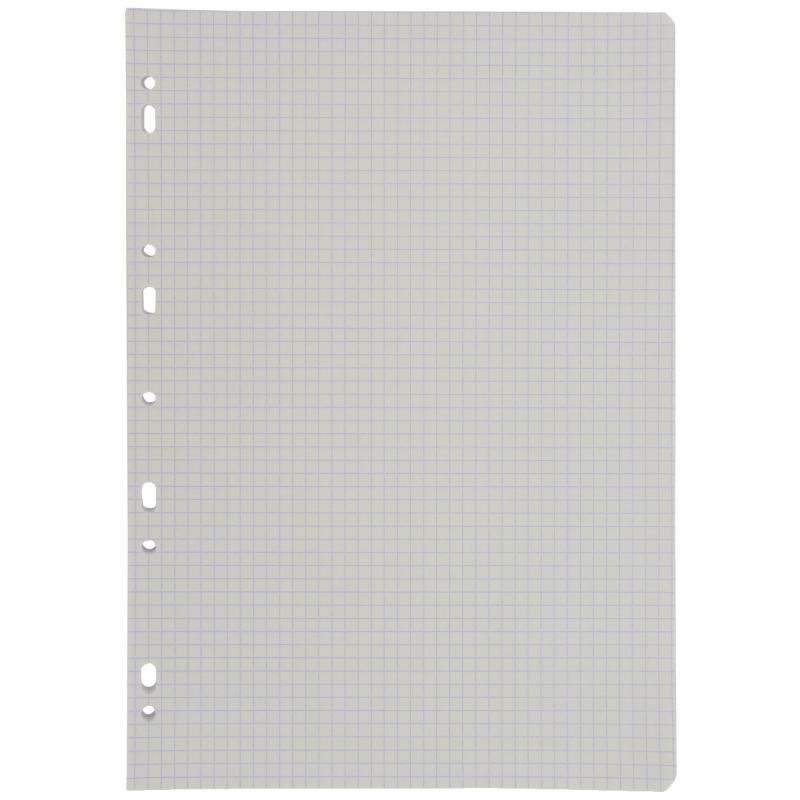 Image de  Sachet de 50 feuillets mobiles, format A4, quadrillé 5x5, papier 90g, blanc 