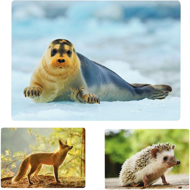 Image de  Imagier photos les animaux 