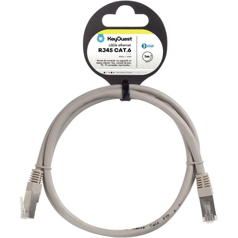 Image de  Cordon RJ45 catégorie 6 1m gris 