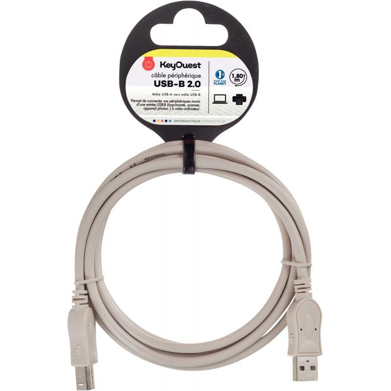 Image de  Cordon USB 2.0 type A vers type B 1.8m gris 