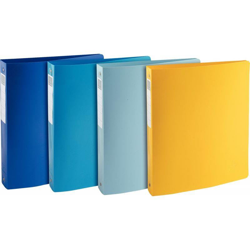 Image de  Classeur 4 anneaux BEEBLUE en polypropylène recyclé, dos 4 cm, format A4+, coloris assortis 
