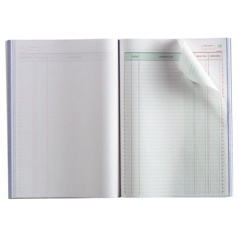 Image de  Manifold Recettes/Dépenses NCR 21 x 29,7 cm 50 duplicatas autocopiants 