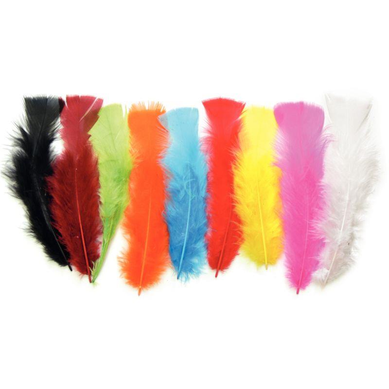 Image de  Sachet de 25 grammes de plumes de dinde, couleurs assorties 