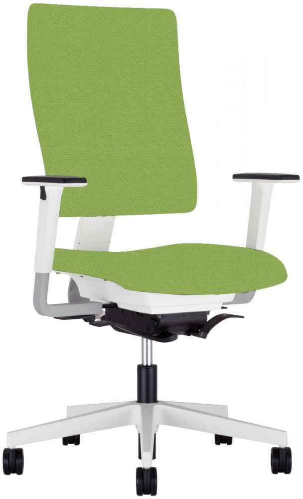 Image de  Fauteuil Oslo/4ME Self Tension anis 