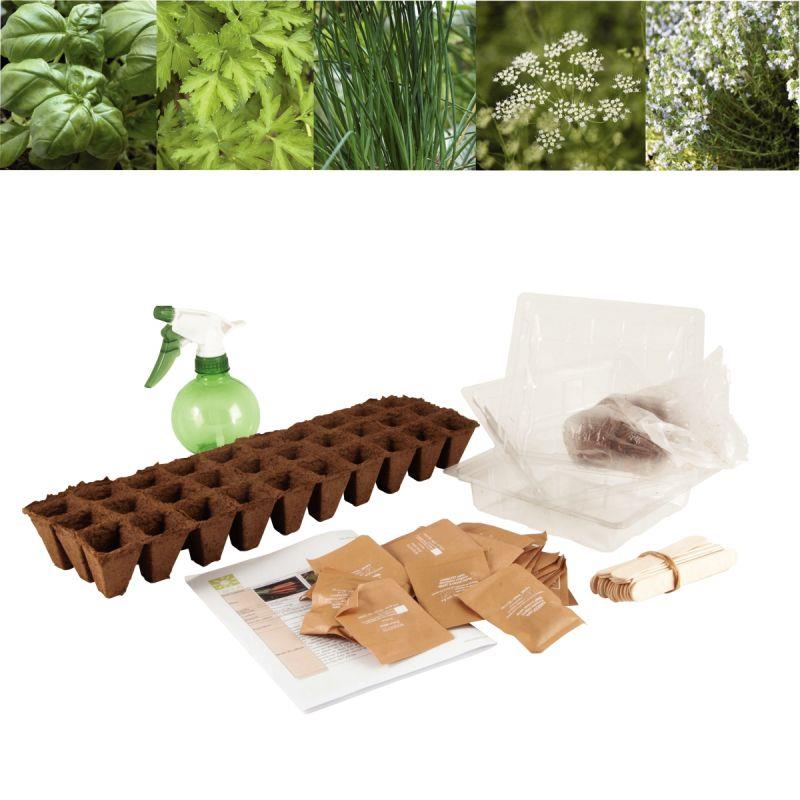 Image de  Carton de 30 sachets de graines aromates bio 