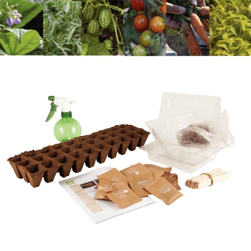 Image de  Carton de 30 sachets de graines de légumes bio 