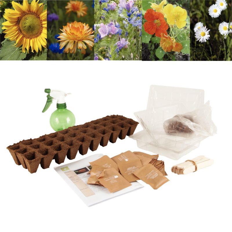 Image de  Carton de 30 sachets de graines de fleurs 