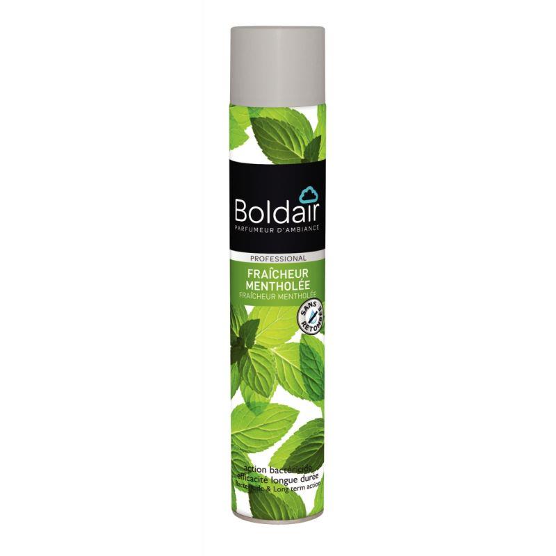Image de  Aérosol 500ml désodorisant bactéricide menthe 