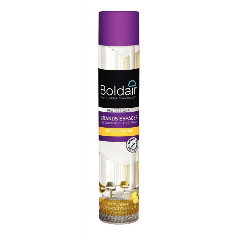 Image de  Aérosol 750ml destructeur d''odeurs citron 
