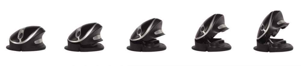 Image de  Souris Ergo Large Oyster Mouse 