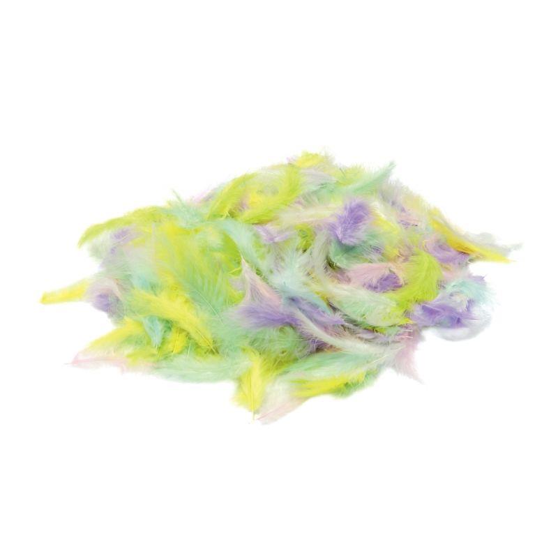 Image de  Sachet de 100 grammes de plume pastel assortis 