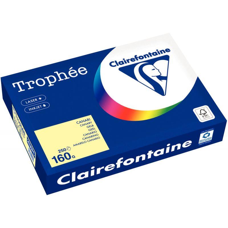 Image de  Paquet de 250 feuilles format A4 160g canari CLAIREFONTAINE 