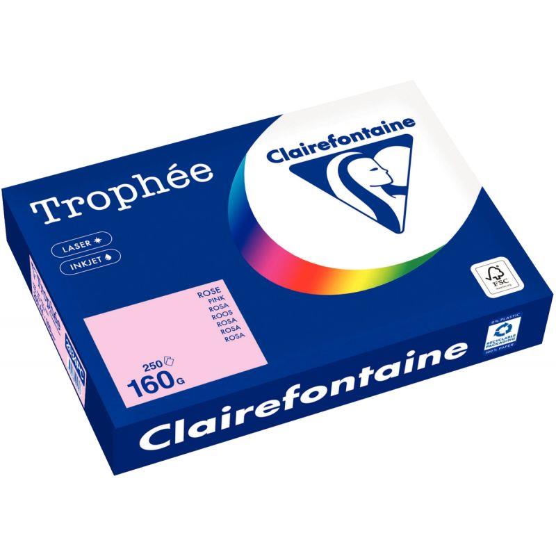 Image de  Paquet de 250 feuilles format A4 160g rose CLAIREFONTAINE 