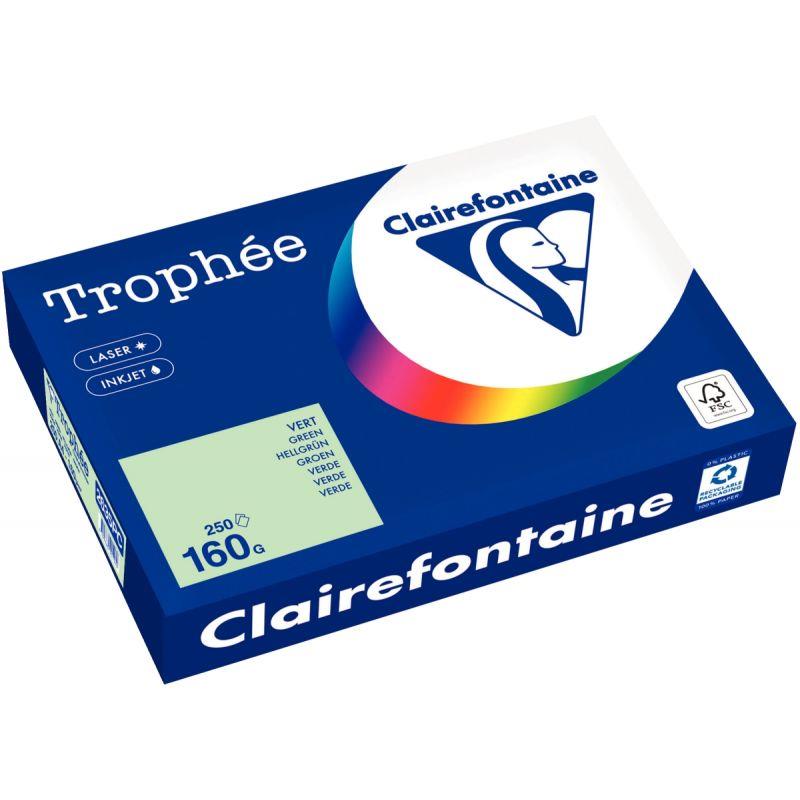 Image de  Paquet de 250 feuilles format A4 160g vert CLAIREFONTAINE 