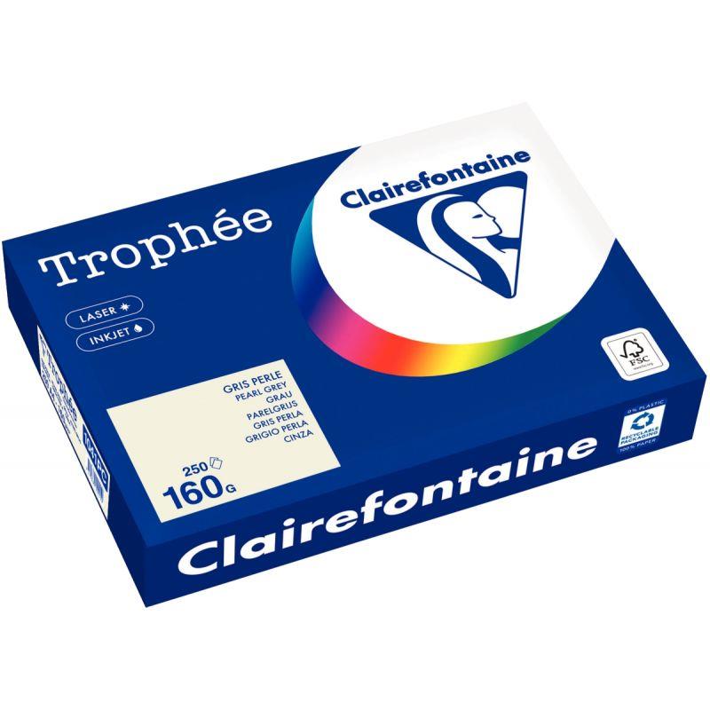Image de  Paquet de 250 feuilles format A4 160g gris CLAIREFONTAINE 