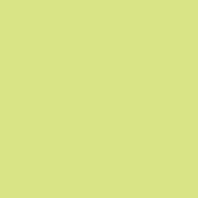 Image de  Paquet de 25 feuilles CARTOLINE 50x65cm vert clair 