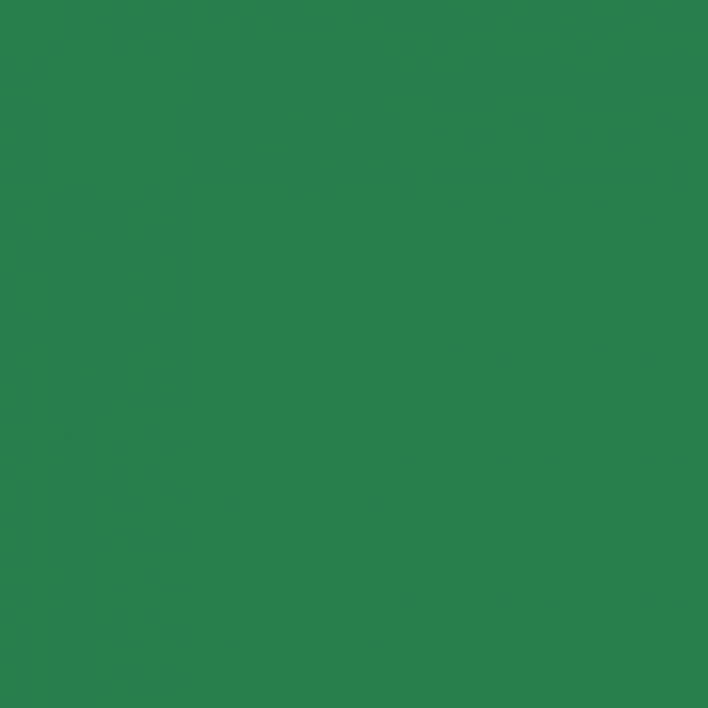 Image de  Paquet de 25 feuilles CARTOLINE 50x65cm vert foncé 