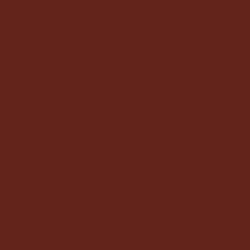 Image de  Paquet de 25 feuilles CARTOLINE 50x65cm chocolat 
