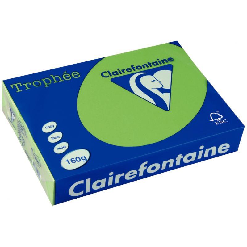 Image de  Paquet de 250 feuilles format A3 160g vert menthe CLAIREFONTAINE 