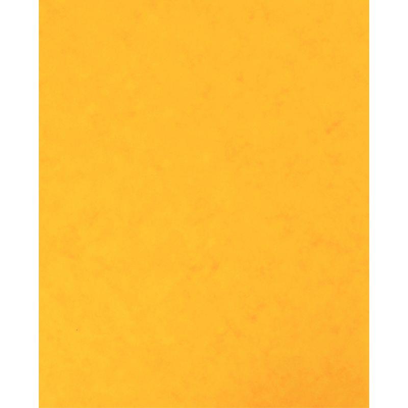 Image de  Lot de 10 protège-cahier 2 grands rabats format 18 x 22 cm carte lustrée coloris jaune 