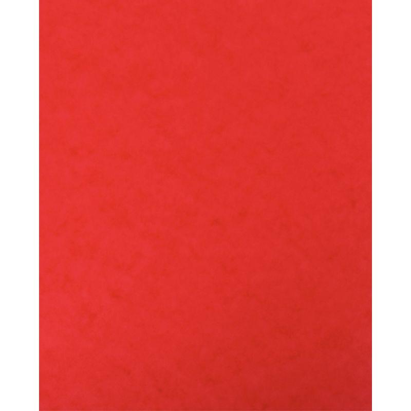 Image de  lot de 10 protège-cahier 2 grands rabats  format 18 x 22 cm carte lustrée coloris rouge 