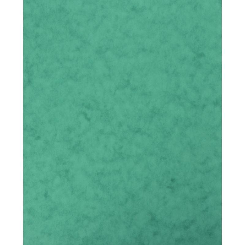 Image de  lot de 10 Protège-cahier 2 grands rabats  format 18 x 22 cm carte lustrée coloris vert 