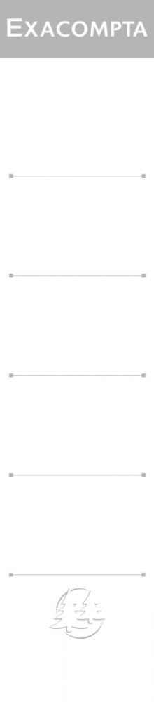 Image de  Paquet de 10 étiquettes adhésives pour classeurs à levier format 20x4 cm blanc 