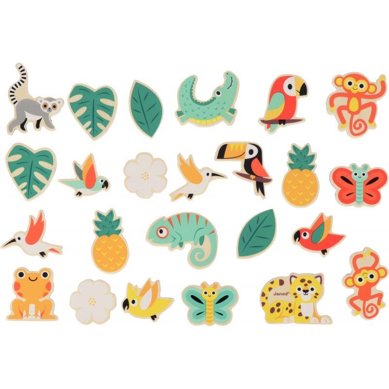 Image de  Boite de 24 magnets tropicaux en bois 