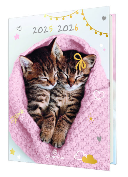 Image de  Agenda souple 12x17 Chaton tendre duo 