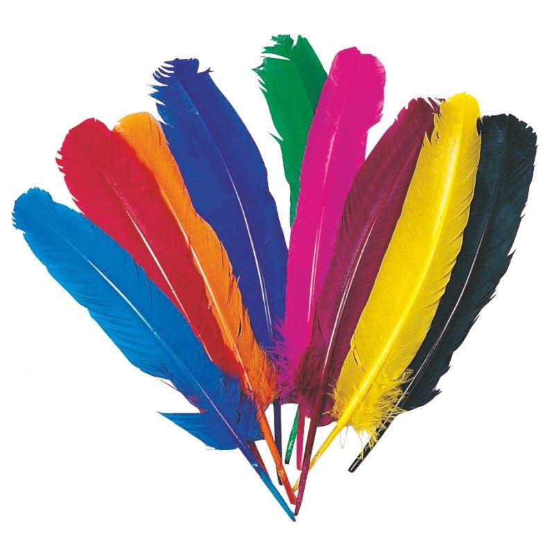 Image de  Sachet de 12 plumes d''indien couleurs assorties 