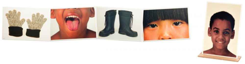 Image de  Mallette de 50 cartes-images le corps humain et les vêtements 