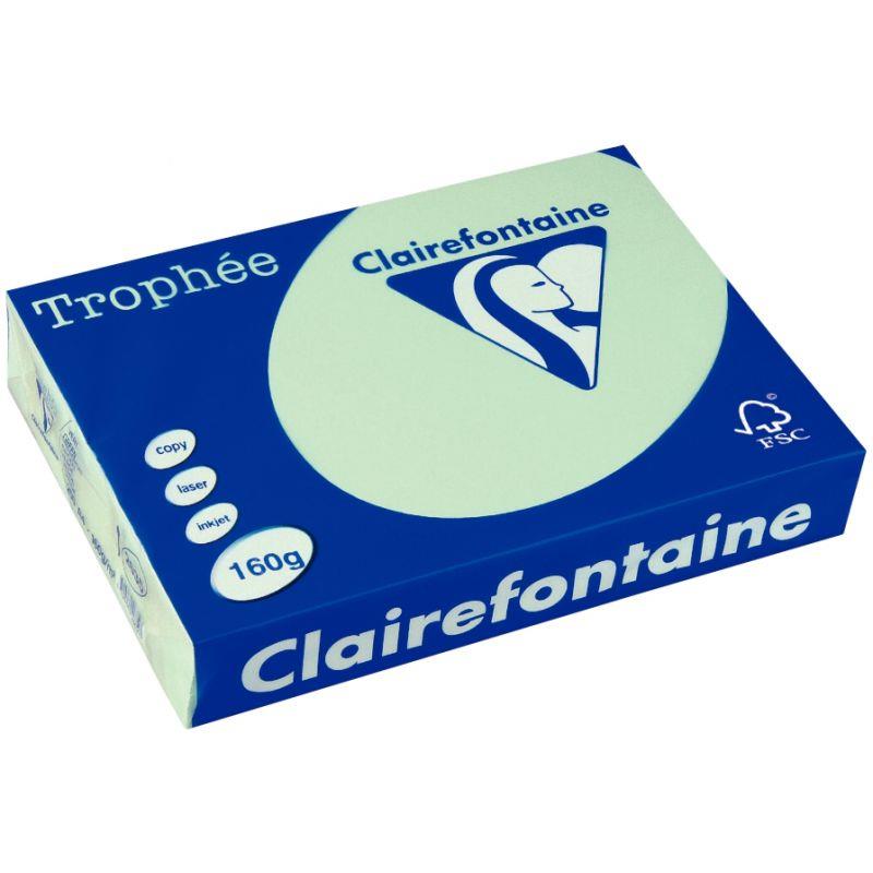 Image de  Paquet de 250 feuilles format A3 160g vert CLAIREFONTAINE 