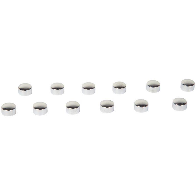 Image de  Paquet de 12 aimants diamètre 9 mm, argentés 
